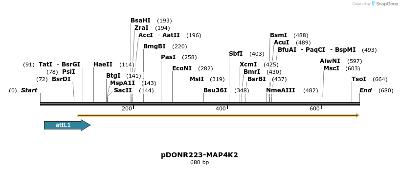 29470_map