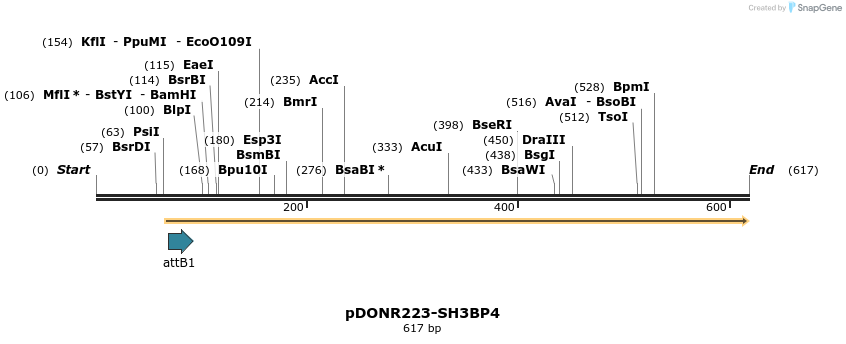29471_map