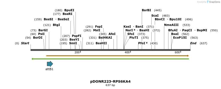 29473_map