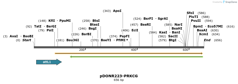 29474_map