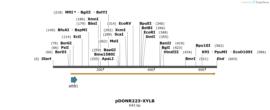 29475_map