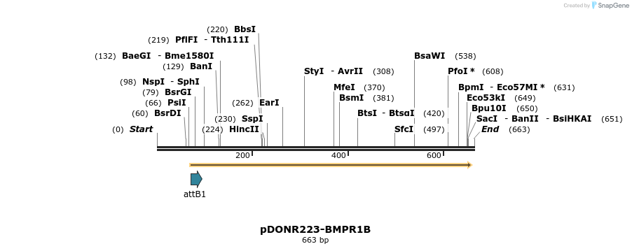 29476_map