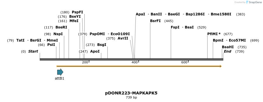29477_map