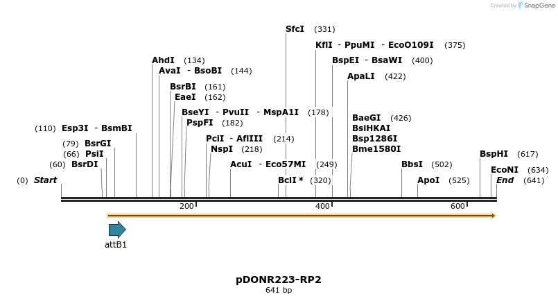 29478_map