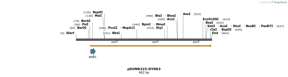 29479_map