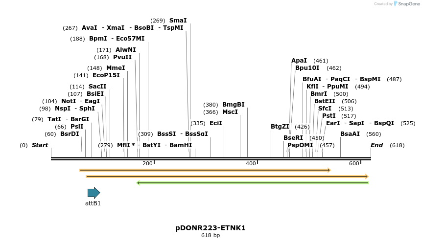 29480_map