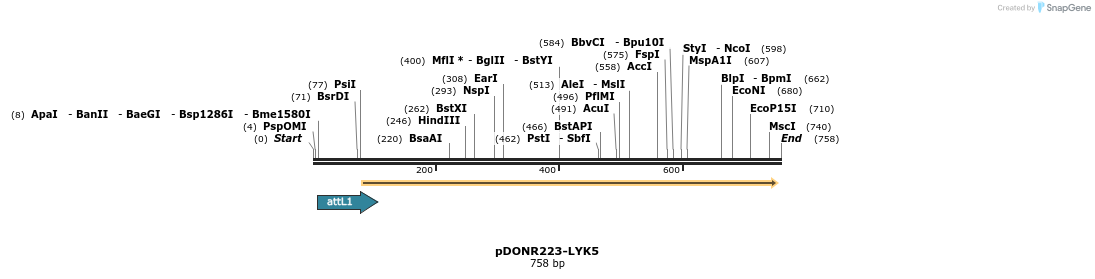 29481_map