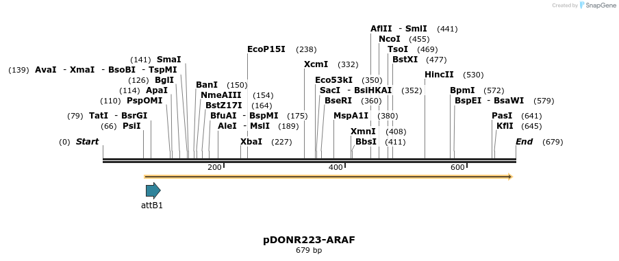 29483_map