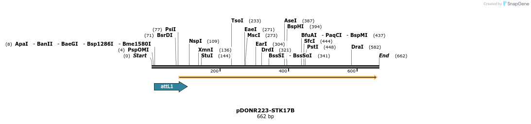 29487_map