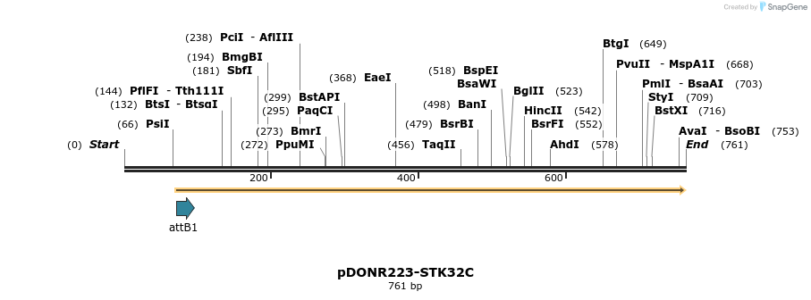 29488_map