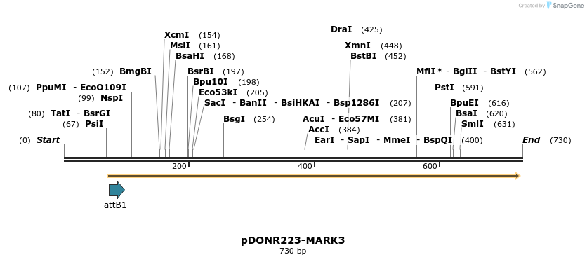 29492_map