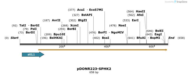 29494_map