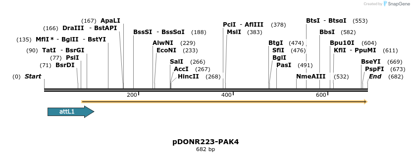 29495_map