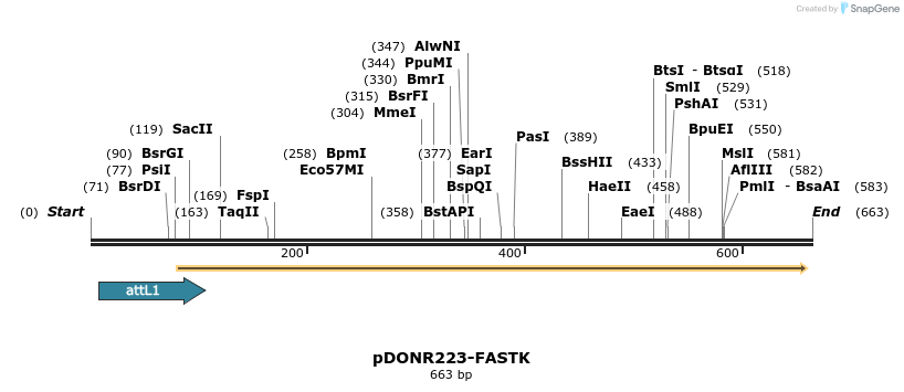 29496_map