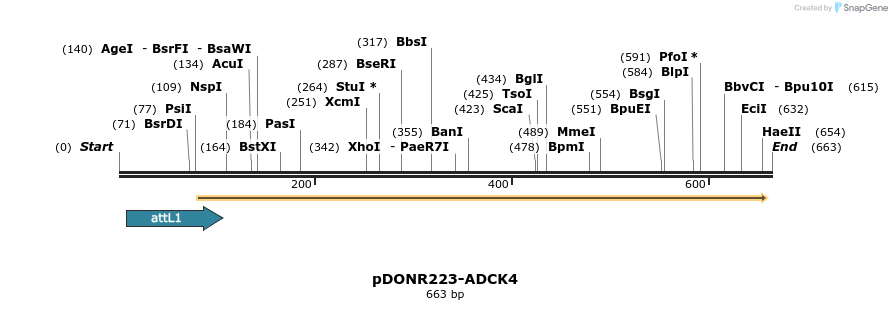 29497_map