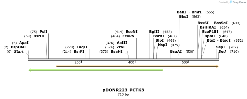 29498_map