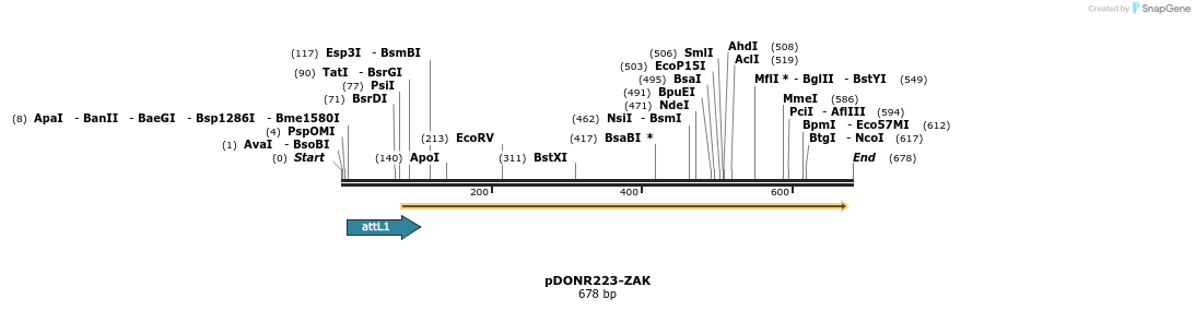 29499_map