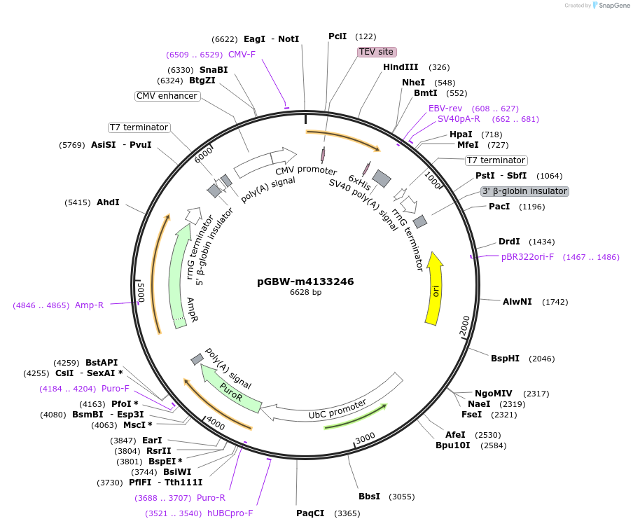 294998_map