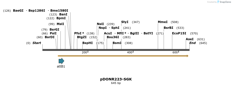 29500_map