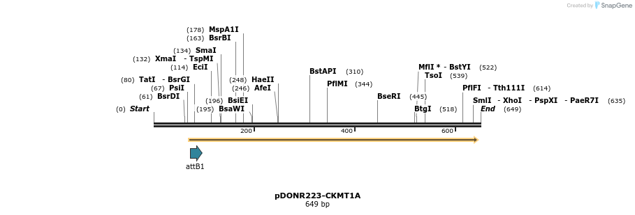 29502_map