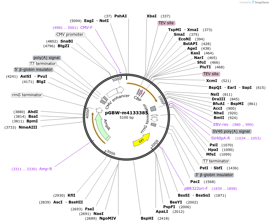 295023_map