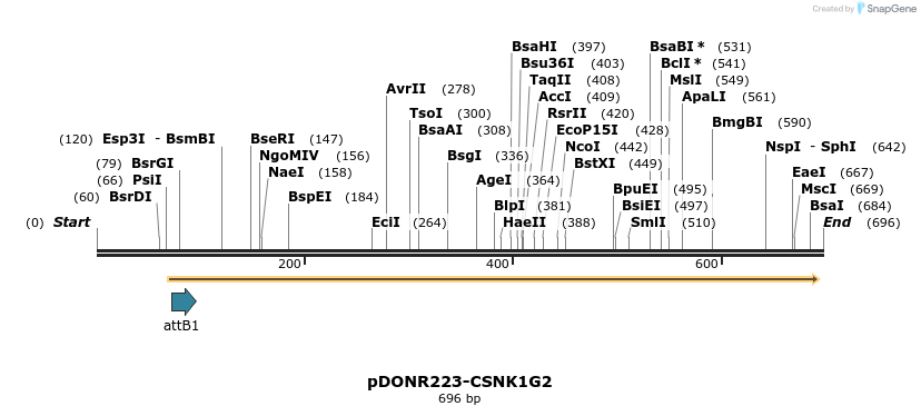 29503_map