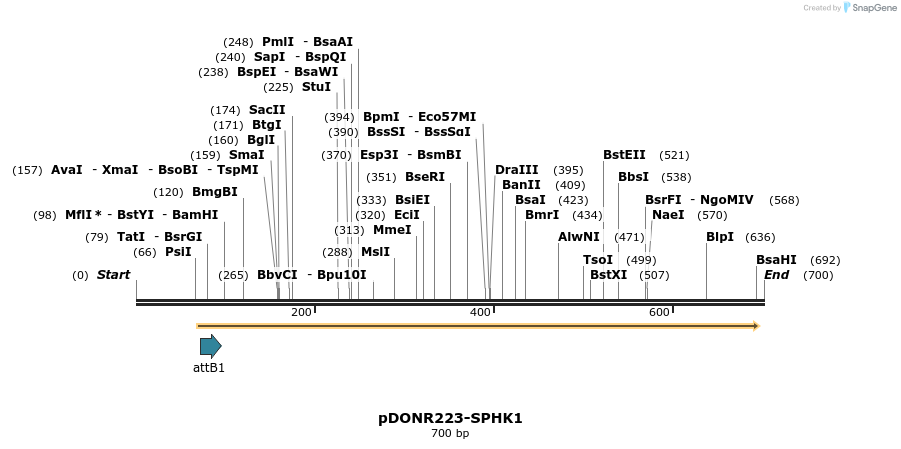 29504_map