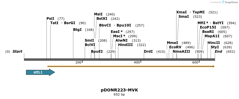 29505_map