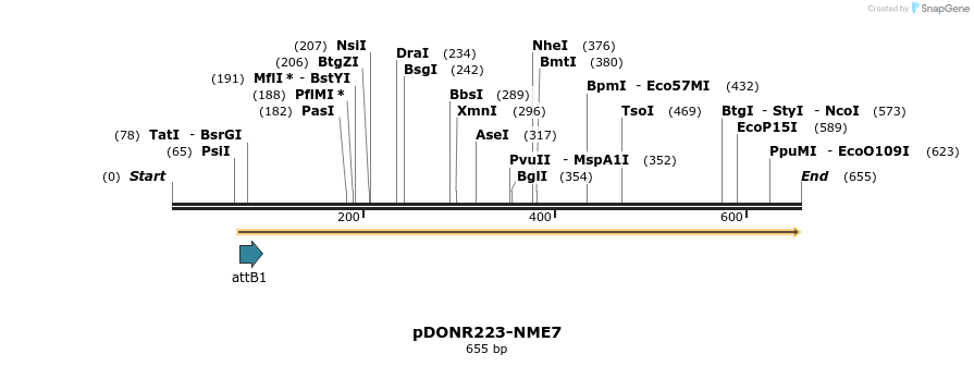 29506_map