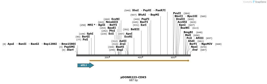 29509_map