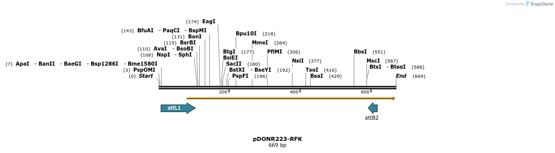29510_map