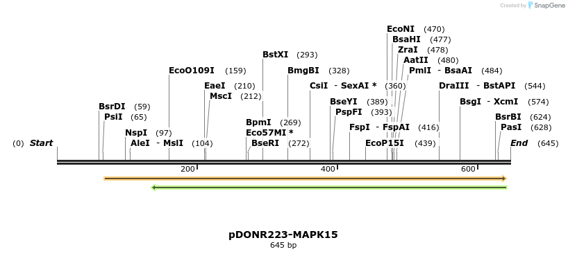 29511_map