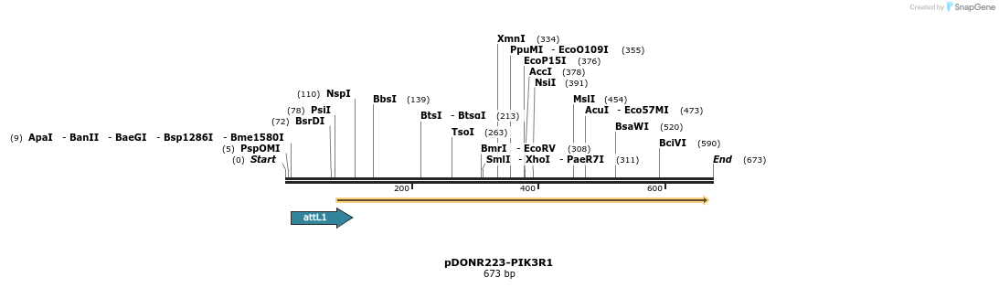 29512_map