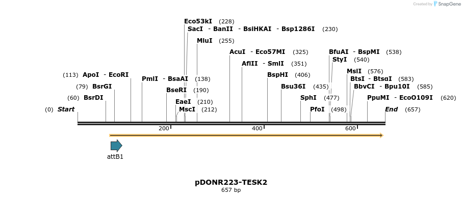 29513_map