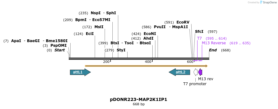 29514_map