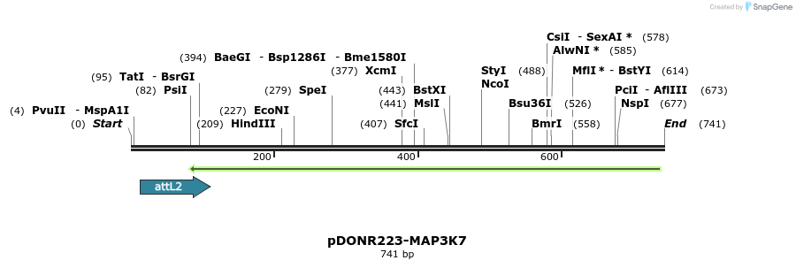29515_map