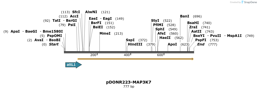 29516_map