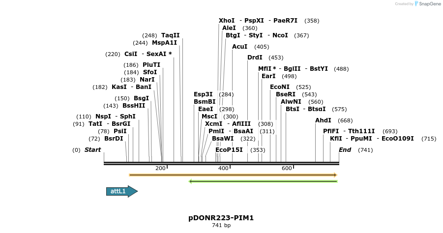29517_map
