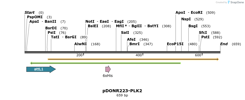 29518_map