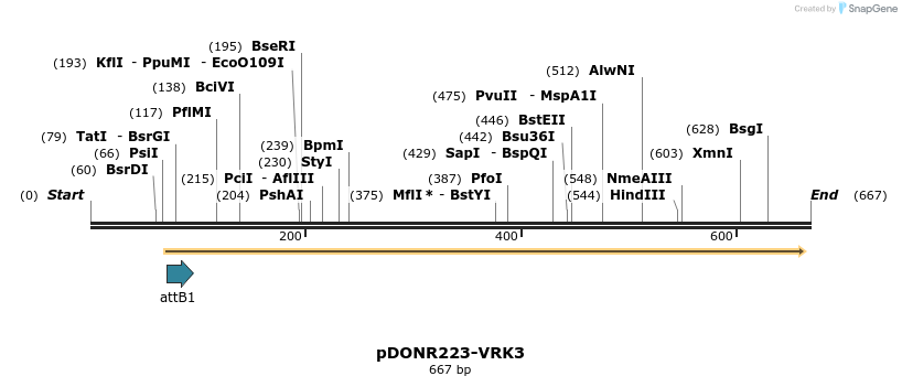 29522_map