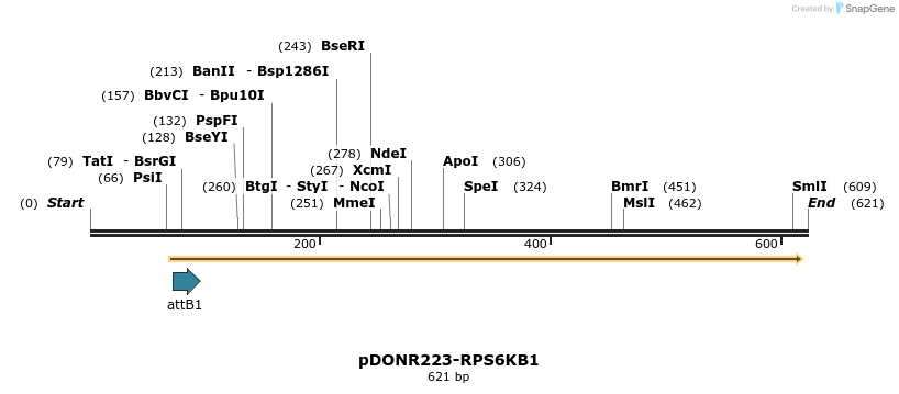 29523_map