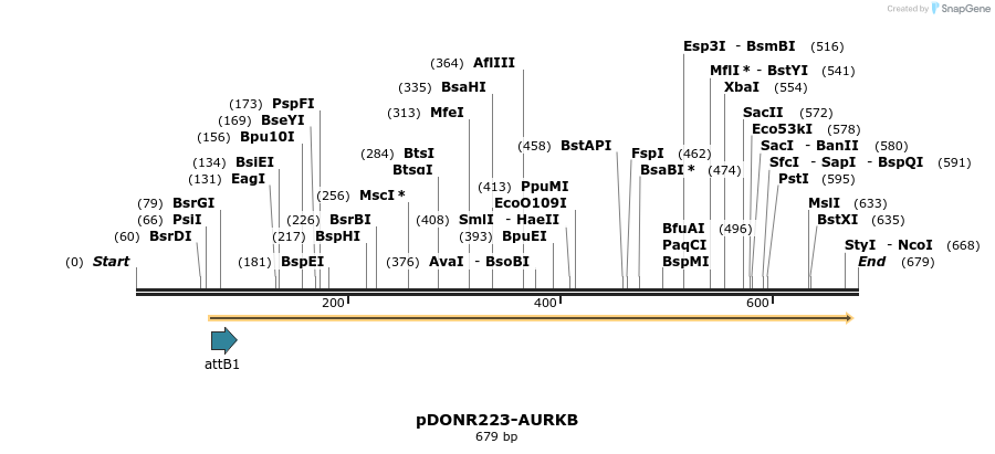 29527_map