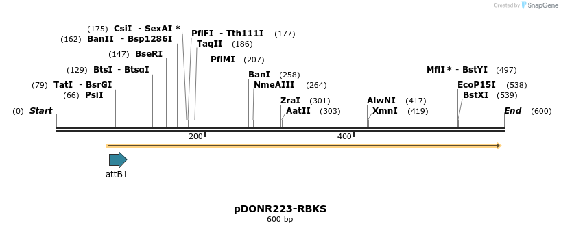 29528_map