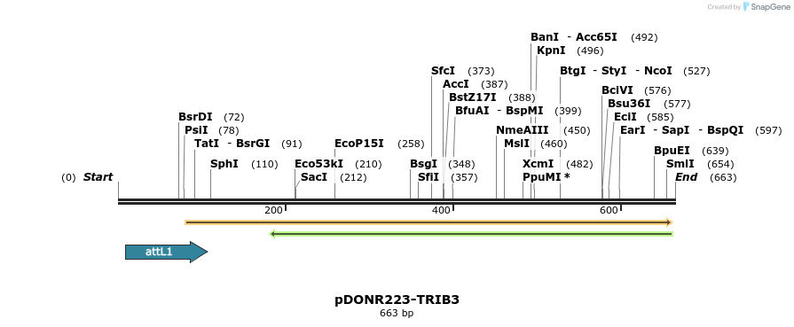 29532_map