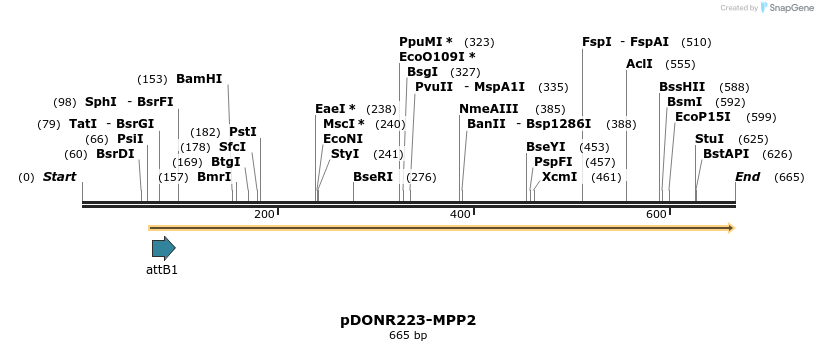 29536_map