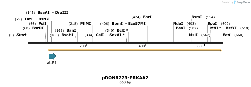 29538_map