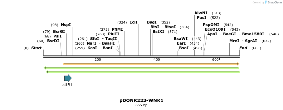 29539_map