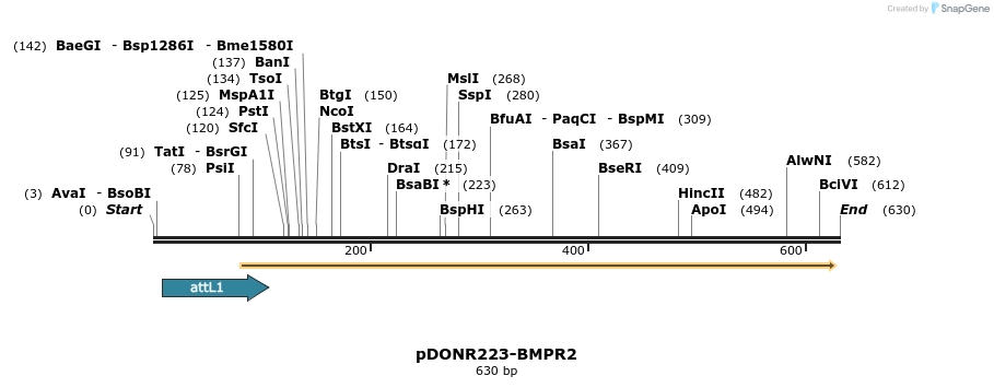 29540_map