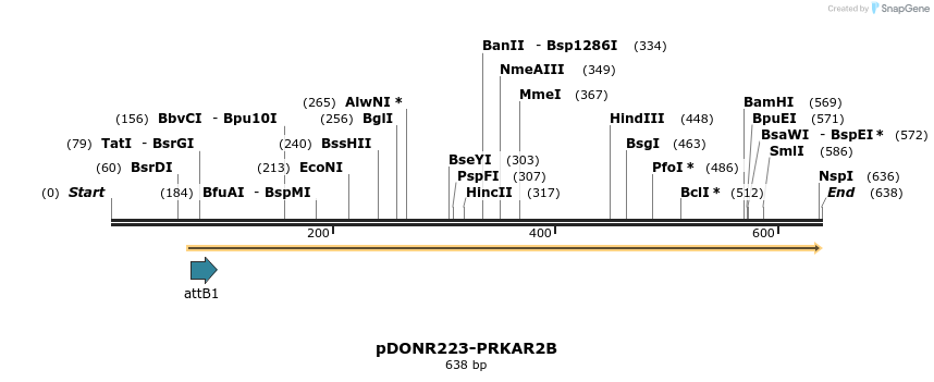 29542_map