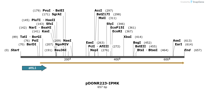 29543_map